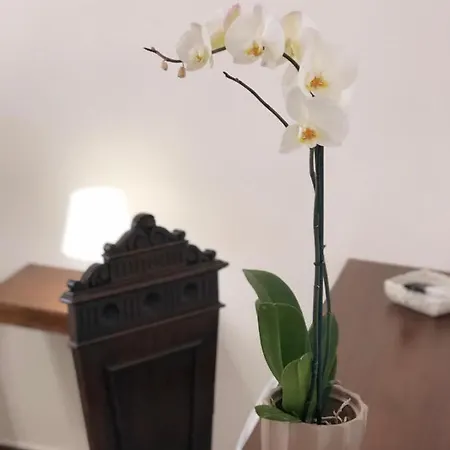La Melagrana Frühstückspension 4*
